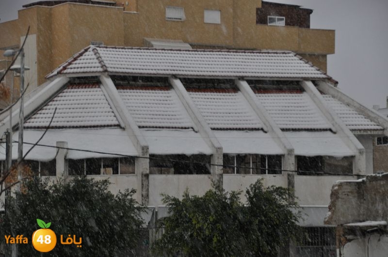 iceman lud 1213 (56).JPG